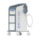 RF Electromagnetic Tesla EMS Professional Body Contouring Machine
